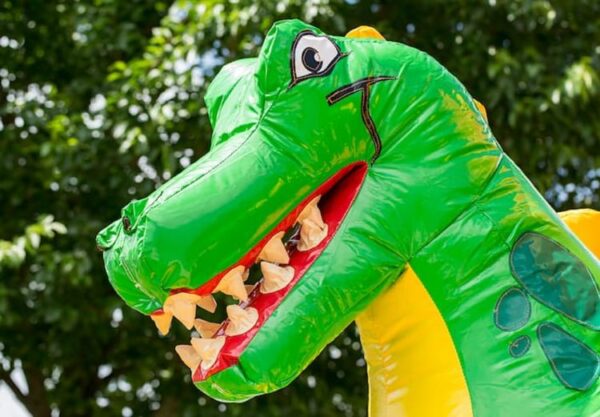 Chateau gonflable, couvert, impression de dinosaure, avec toboggan