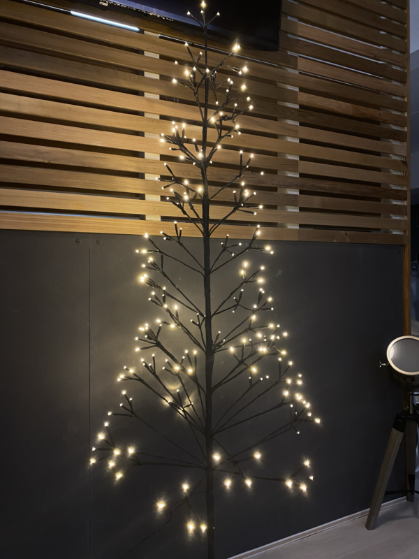 Photo du sapin de Noël noir LED en location chez Private Garden