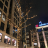 photo exemple : Guirlande de Noël connectable en location chez Private Garden