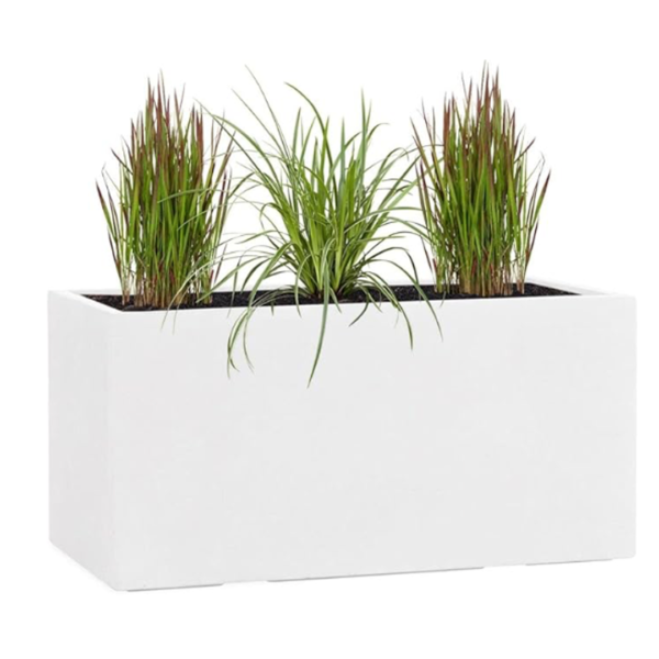 Jardinière blanche avec plantes