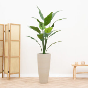 Plantes Artificielles