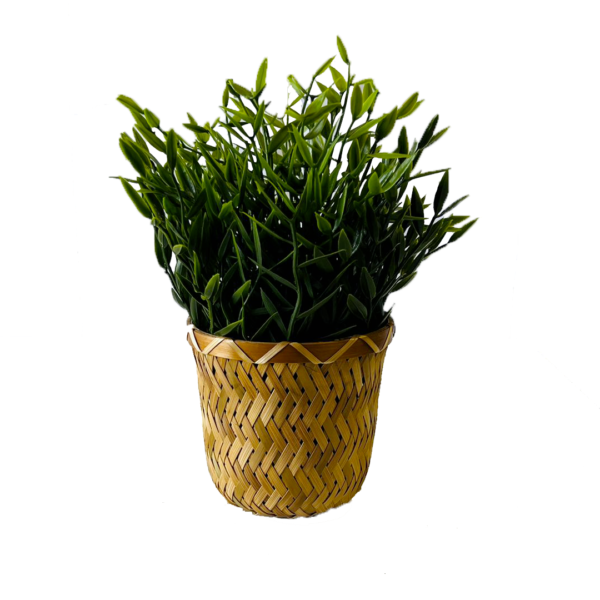 Plante artificielle, buis en pot