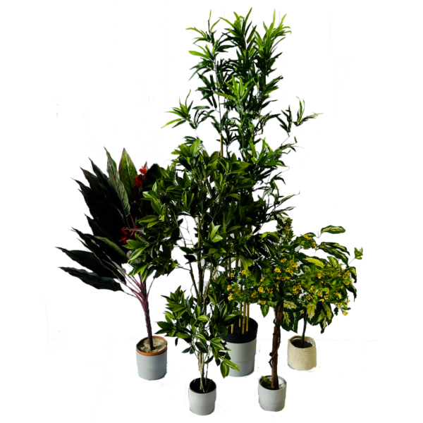 Différente plante artificielle