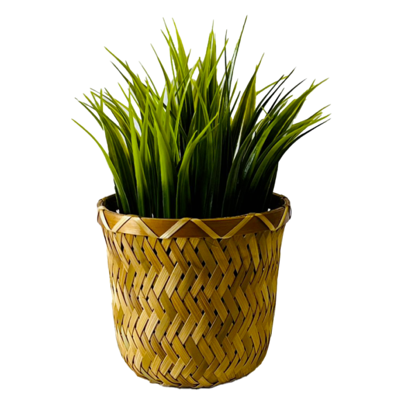 Petit pot avec plantes herbes des champs