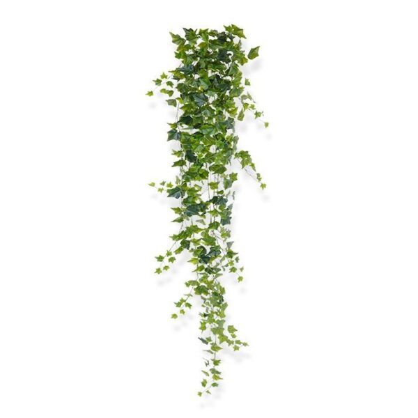 image produit : lierre à suspendre (décoration)